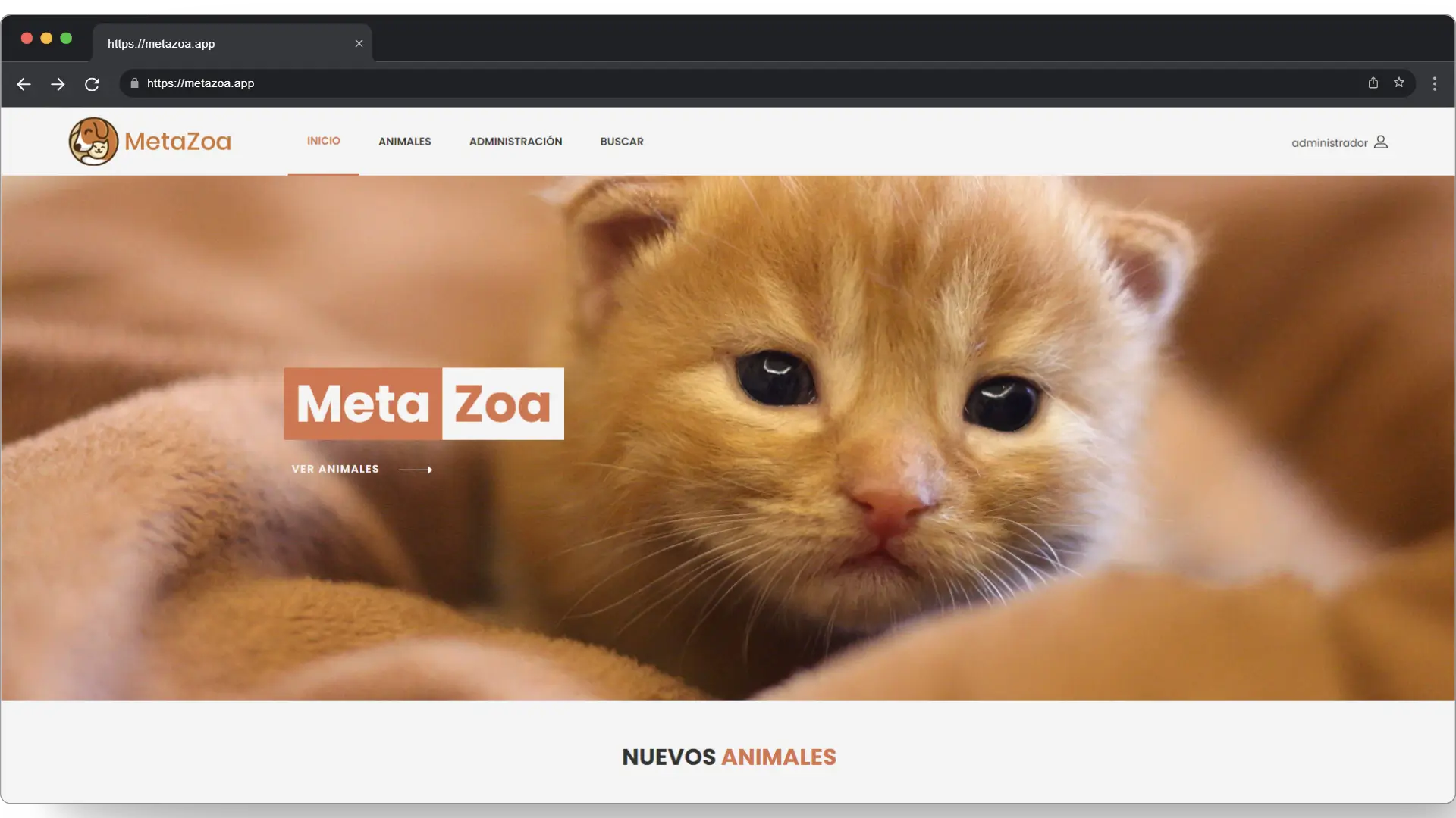 imagen Metazoa